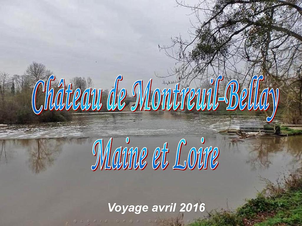 149 CHATEAU DE MONTREUIL BELLAY MAINE ET LOIRE 2016_000001.jpg